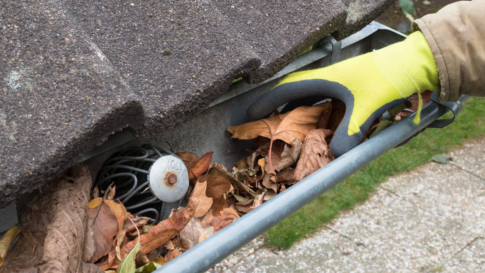 Projekt bez nazwy - 2023-09-09T163141.455